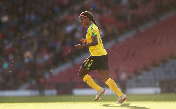 08wwc-bunny--articleLarge-v3